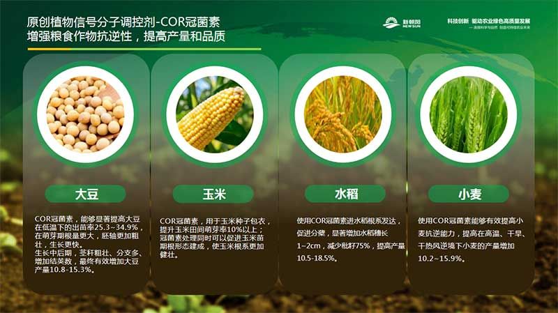 生物科技 賦能農業(yè)穩產(chǎn)保供——第十屆植物生長(cháng)調節劑發(fā)展與應用交流會(huì )在四川眉山召開(kāi)
