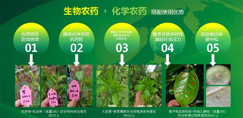 新朝陽(yáng)在第六屆中國農藥行業(yè)市場(chǎng)和銷(xiāo)售高峰論壇做“生物農藥+化學(xué)農藥，引領(lǐng)植保市場(chǎng)未來(lái)”主題報告