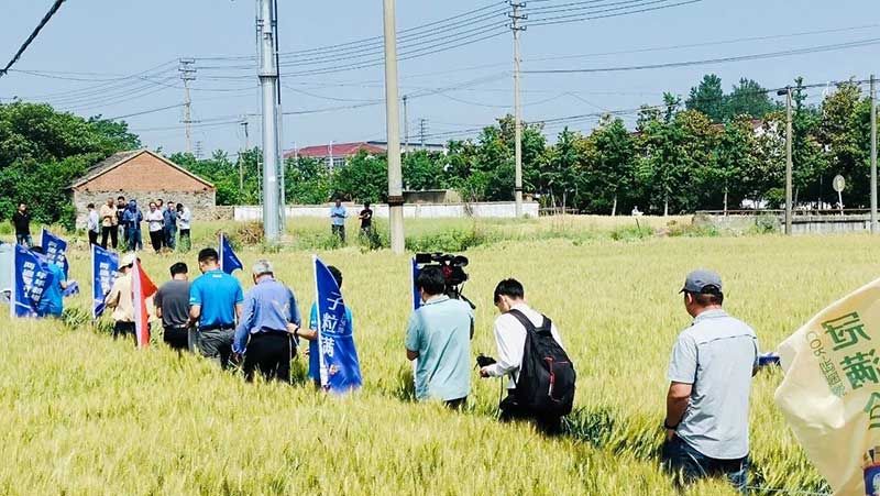 520健康植保日——擁抱綠色農業(yè)，我們在行動(dòng)