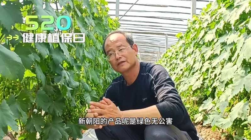 520健康植保日——擁抱綠色農業(yè)，我們在行動(dòng)