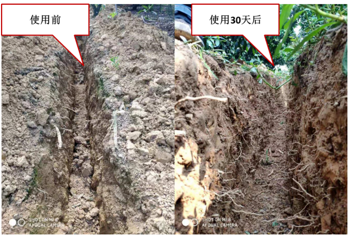 “土壤板結克星”：土壤調理劑你了解多少？